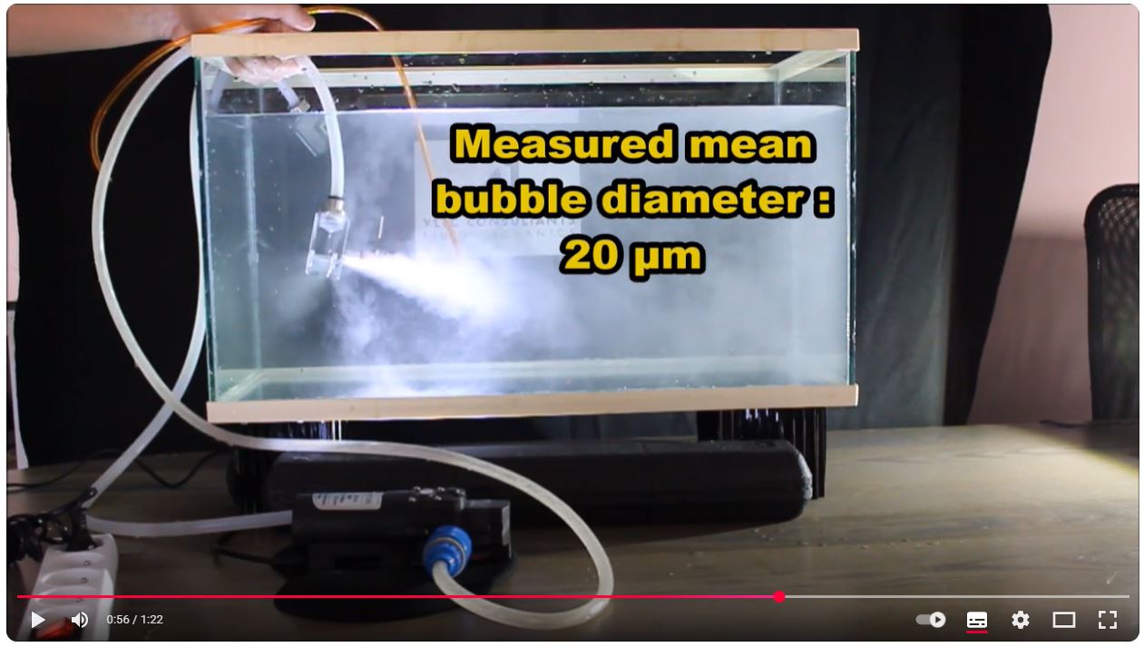 CARMIN pump microbubbles