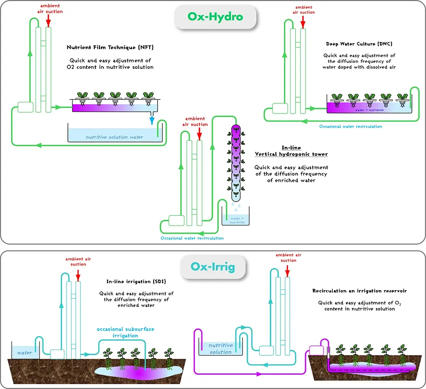 hydroponics SDI irrigation